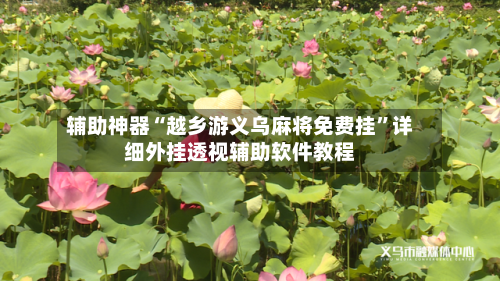 辅助神器“越乡游义乌麻将免费挂”详细外挂透视辅助软件教程