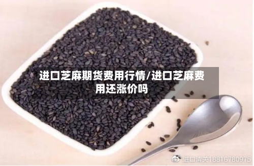 进口芝麻期货费用行情/进口芝麻费用还涨价吗