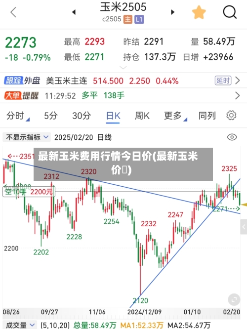 最新玉米费用行情今日价(最新玉米价挌)-第3张图片