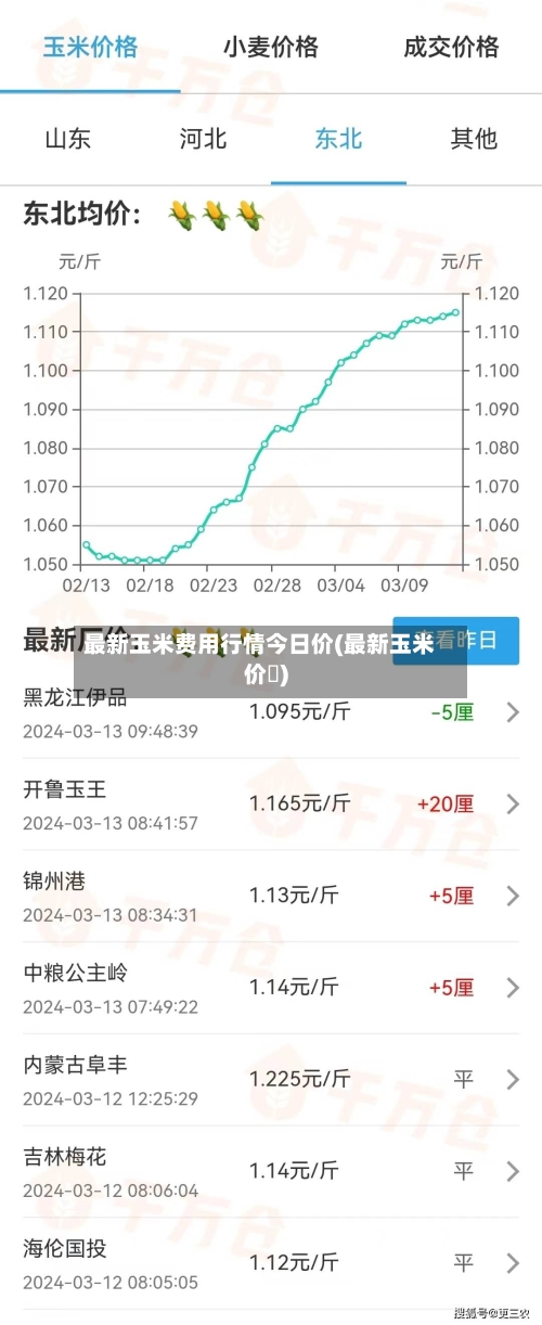 最新玉米费用行情今日价(最新玉米价挌)