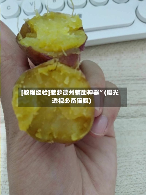 [教程经验]菠萝德州辅助神器”(曝光透视必备猫腻)