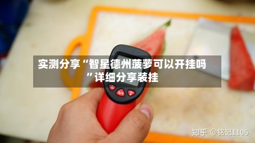 实测分享“智星德州菠萝可以开挂吗”详细分享装挂-第2张图片