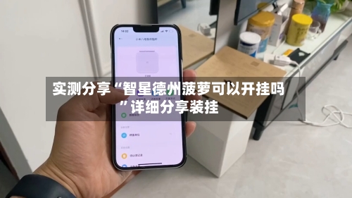 实测分享“智星德州菠萝可以开挂吗”详细分享装挂-第3张图片