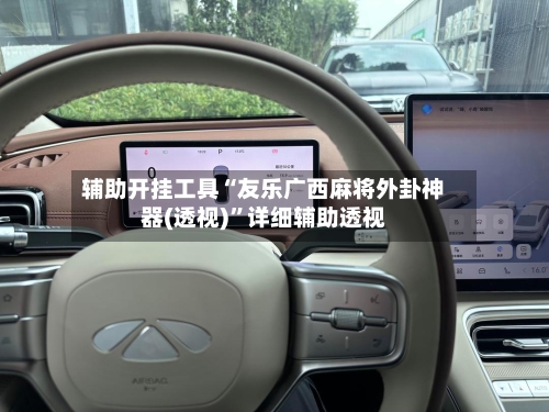 辅助开挂工具“友乐广西麻将外卦神器(透视)”详细辅助透视-第2张图片