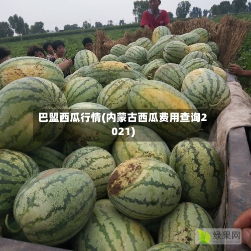 巴盟西瓜行情(内蒙古西瓜费用查询2021)-第2张图片