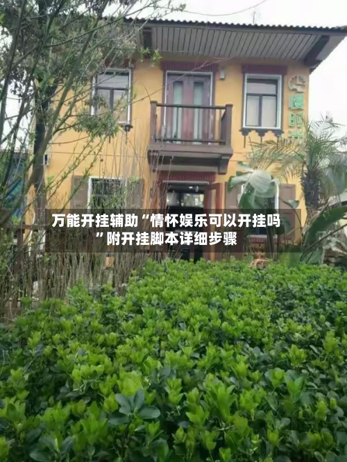 万能开挂辅助“情怀娱乐可以开挂吗”附开挂脚本详细步骤-第2张图片