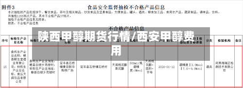 陕西甲醇期货行情/西安甲醇费用-第3张图片