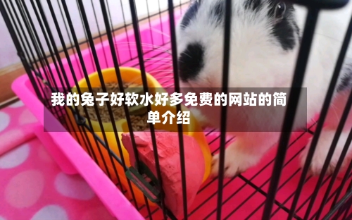 我的兔子好软水好多免费的网站的简单介绍-第3张图片