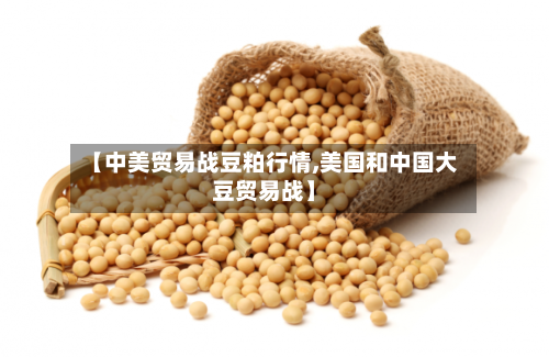 【中美贸易战豆粕行情,美国和中国大豆贸易战】-第2张图片