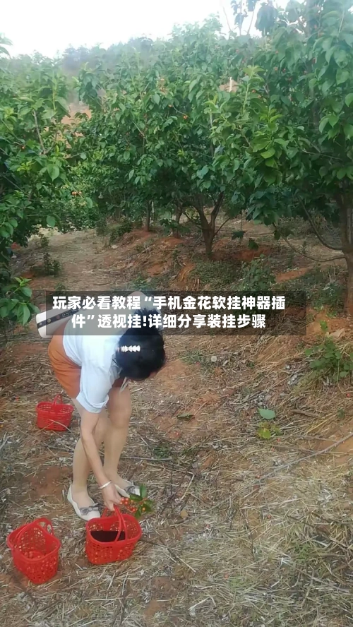 玩家必看教程“手机金花软挂神器插件”透视挂!详细分享装挂步骤-第3张图片