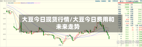 大豆今日现货行情/大豆今日费用和未来走势-第2张图片