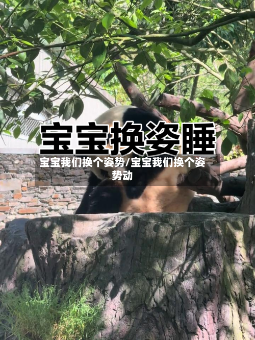 宝宝我们换个姿势/宝宝我们换个姿势动