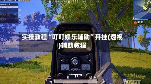 实操教程“叮叮娱乐辅助	”开挂(透视)辅助教程-第3张图片