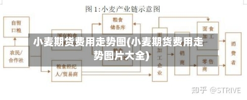 小麦期货费用走势图(小麦期货费用走势图片大全)