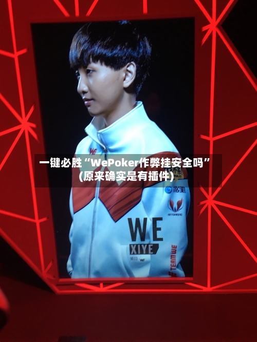 一键必胜“WePoker作弊挂安全吗”(原来确实是有插件)-第3张图片
