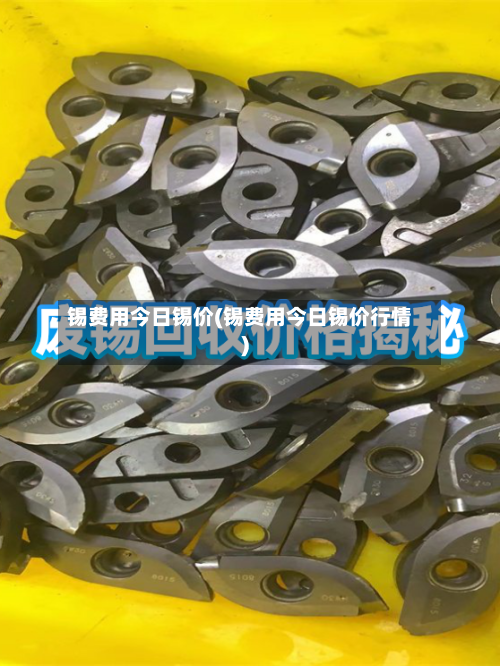 锡费用今日锡价(锡费用今日锡价行情)