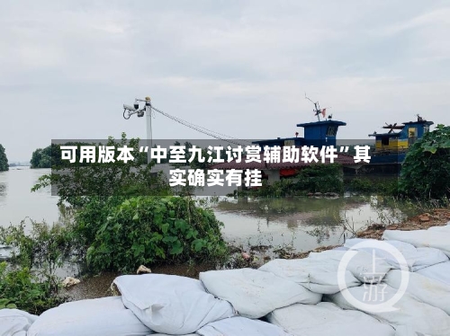 可用版本“中至九江讨赏辅助软件”其实确实有挂