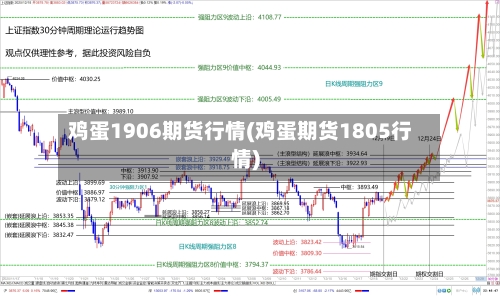 鸡蛋1906期货行情(鸡蛋期货1805行情)
