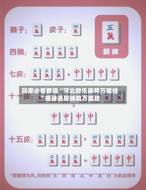 玩家必看教程“河北微乐麻将万能挂	”揭秘透视辅助万能挂-第2张图片