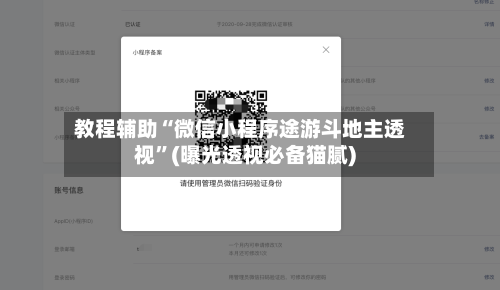 教程辅助“微信小程序途游斗地主透视”(曝光透视必备猫腻)-第3张图片