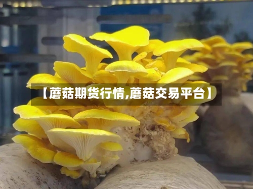 【蘑菇期货行情,蘑菇交易平台】-第2张图片