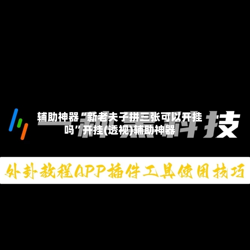 辅助神器“新老夫子拼三张可以开挂吗	”开挂(透视)辅助神器-第2张图片