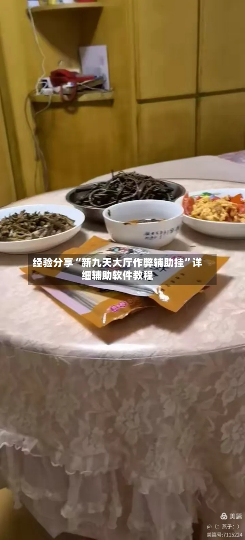 经验分享“新九天大厅作弊辅助挂	”详细辅助软件教程-第2张图片