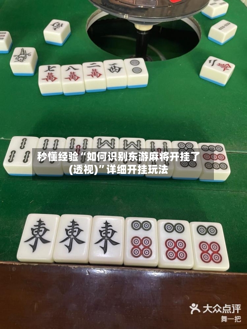 秒懂经验“如何识别东游麻将开挂了(透视)”详细开挂玩法-第2张图片