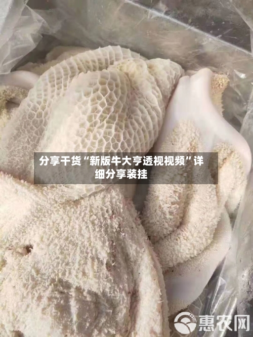 分享干货“新版牛大亨透视视频	”详细分享装挂-第2张图片