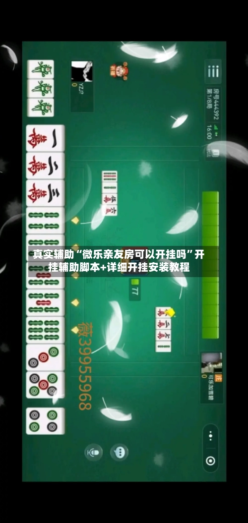 真实辅助“微乐亲友房可以开挂吗”开挂辅助脚本+详细开挂安装教程-第3张图片