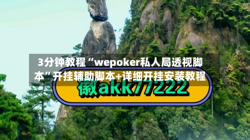 3分钟教程“wepoker私人局透视脚本”开挂辅助脚本+详细开挂安装教程-第3张图片