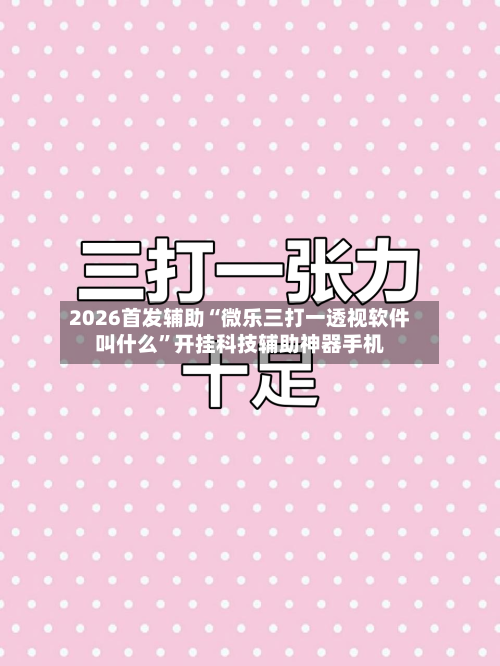 2026首发辅助“微乐三打一透视软件叫什么”开挂科技辅助神器手机-第2张图片