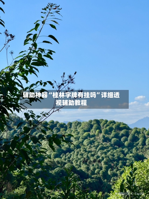 辅助神器“桂林字牌有挂吗”详细透视辅助教程