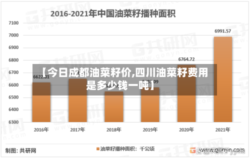 【今日成都油菜籽价,四川油菜籽费用是多少钱一吨】-第3张图片