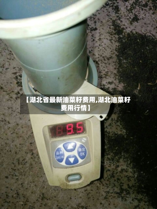 【湖北省最新油菜籽费用,湖北油菜籽费用行情】-第2张图片