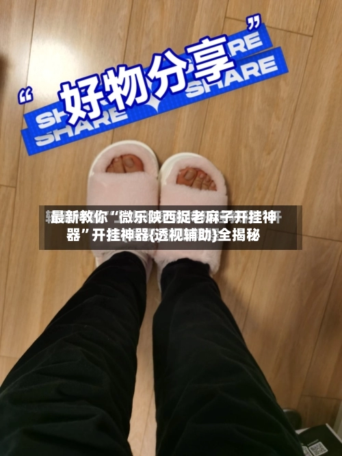 最新教你“微乐陕西捉老麻子开挂神器”开挂神器{透视辅助}全揭秘-第2张图片