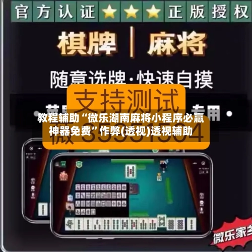 教程辅助“微乐湖南麻将小程序必赢神器免费”作弊(透视)透视辅助-第2张图片