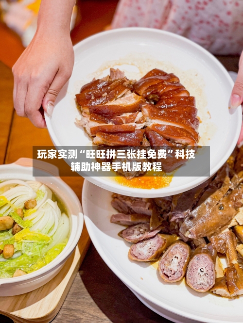 玩家实测“旺旺拼三张挂免费”科技辅助神器手机版教程-第2张图片