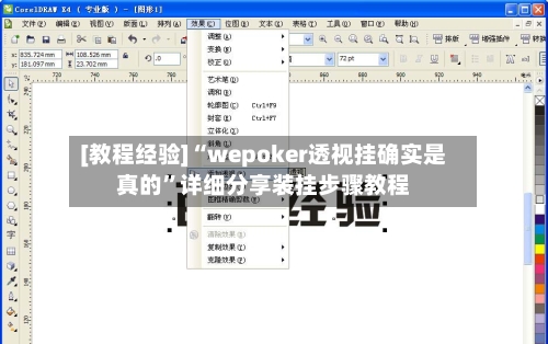 [教程经验]“wepoker透视挂确实是真的”详细分享装挂步骤教程-第3张图片