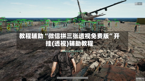 教程辅助“微信拼三张透视免费版”开挂(透视)辅助教程-第2张图片