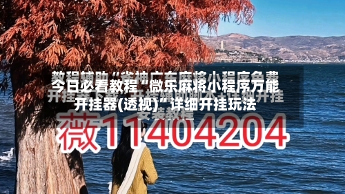 今日必看教程“微乐麻将小程序万能开挂器(透视)”详细开挂玩法-第2张图片