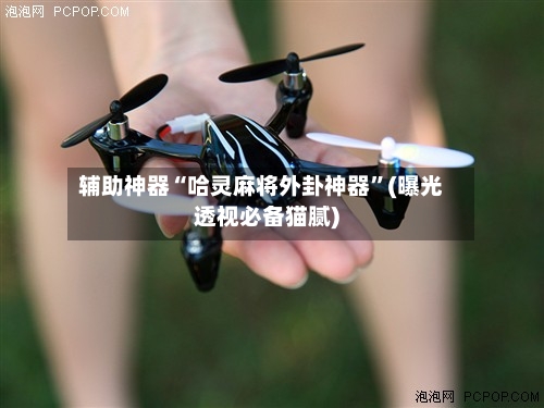 辅助神器“哈灵麻将外卦神器”(曝光透视必备猫腻)