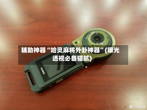 辅助神器“哈灵麻将外卦神器	”(曝光透视必备猫腻)-第2张图片