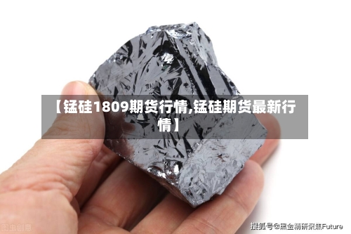 【锰硅1809期货行情,锰硅期货最新行情】-第2张图片