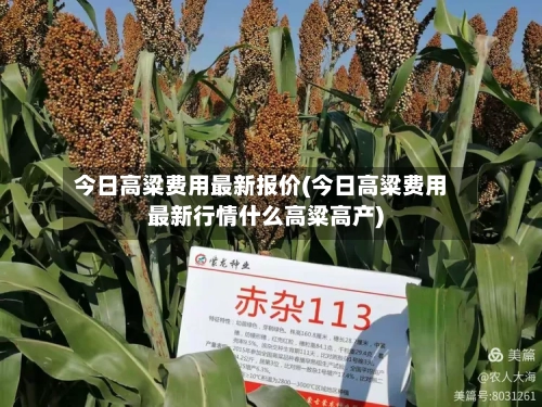 今日高粱费用最新报价(今日高粱费用最新行情什么高粱高产)-第2张图片