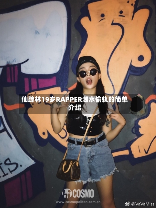仙踪林19岁RAPPER潮水偷轨的简单介绍-第2张图片