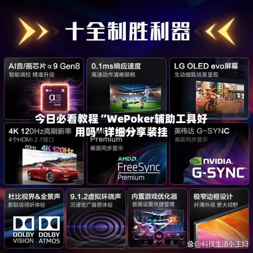 今日必看教程“WePoker辅助工具好用吗	”详细分享装挂-第2张图片
