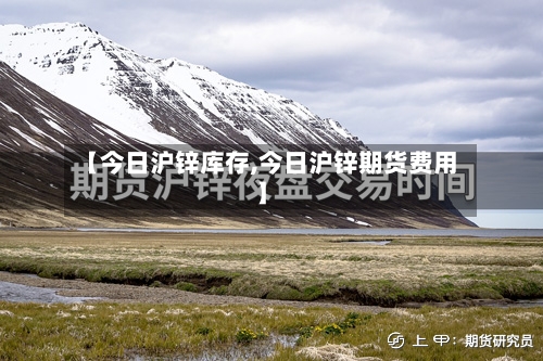 【今日沪锌库存,今日沪锌期货费用】-第2张图片