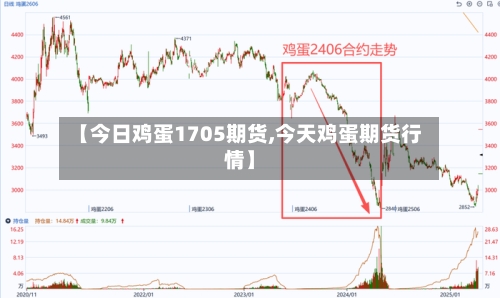 【今日鸡蛋1705期货,今天鸡蛋期货行情】
