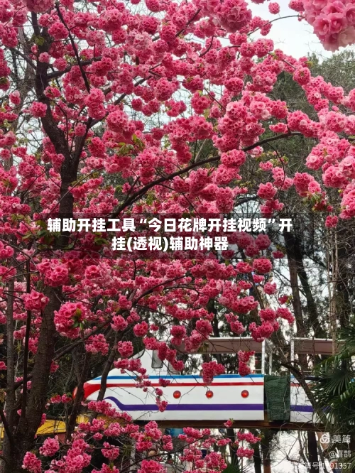 辅助开挂工具“今日花牌开挂视频”开挂(透视)辅助神器
